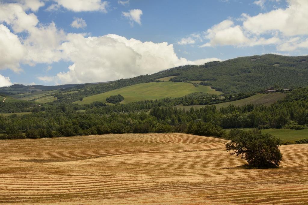 Agriturismo Piettorri Casole dʼElsa Quarto foto